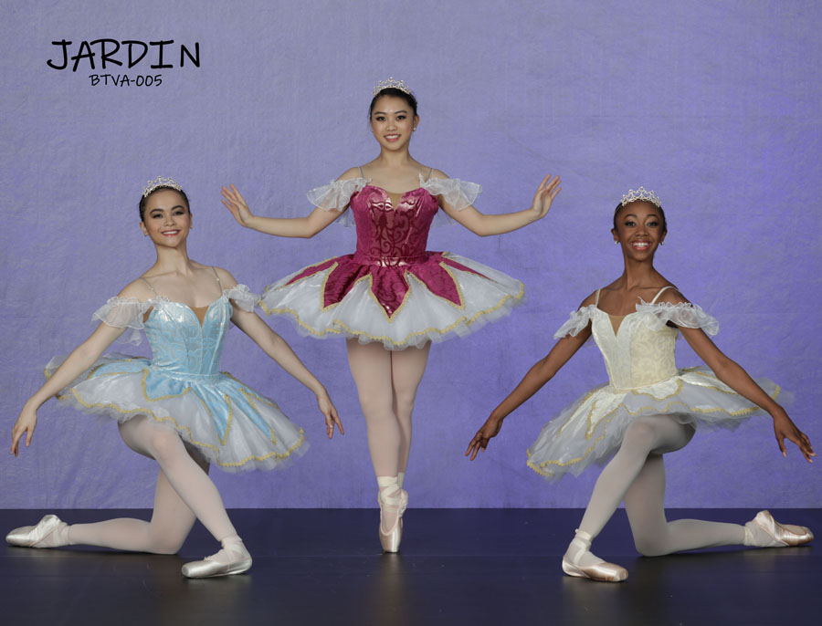 Ballet dance costume