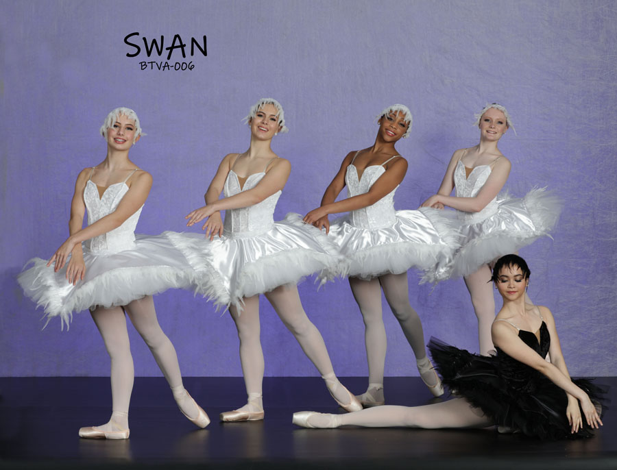 SWAN LAKE Ballet dance costume